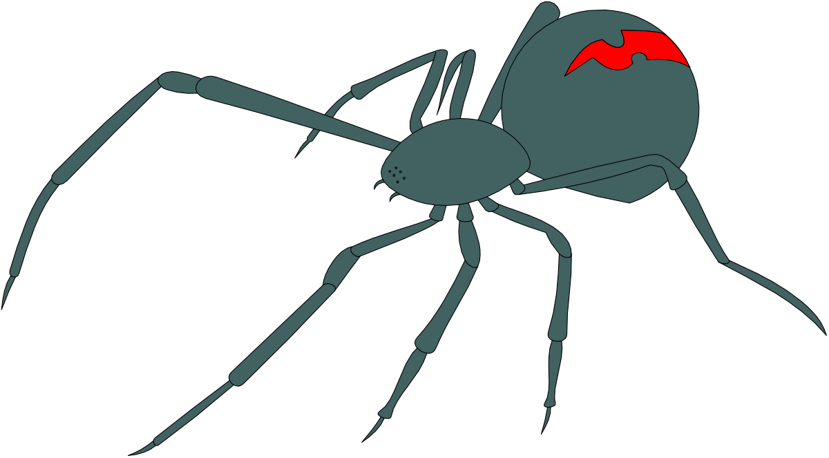 a black widow spider with red eyes clip art png transparent Black Widow Spider Clipart with Red Eyes for Stunning Visual Projects