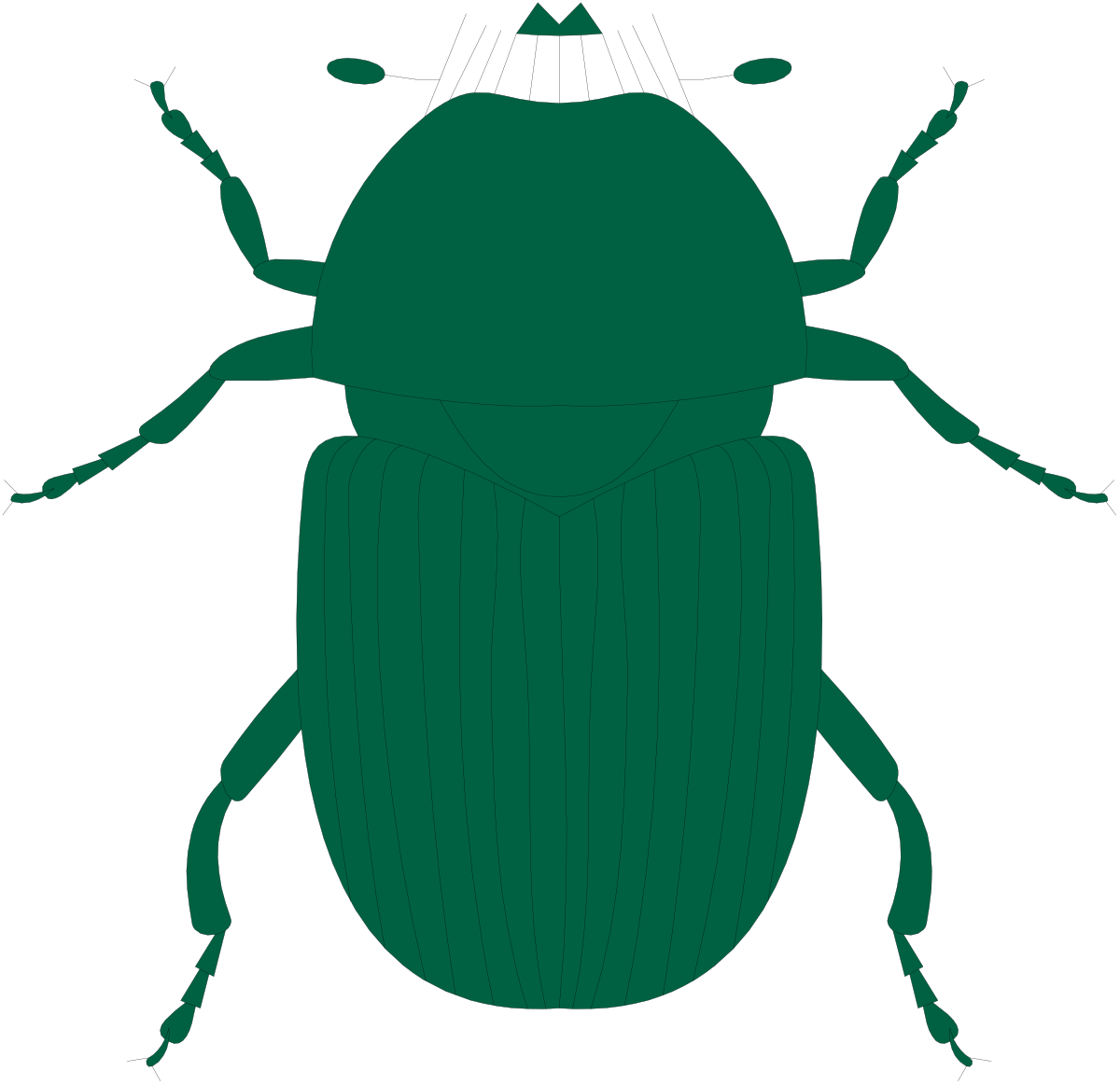 a green beetle beetle clip art png transparent Green Beetle Clipart: Vibrant Insect Illustrations for Unique Designs