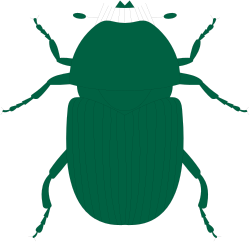 Green Beetle Clipart: Vibrant Insect Illustrations for Unique Designs