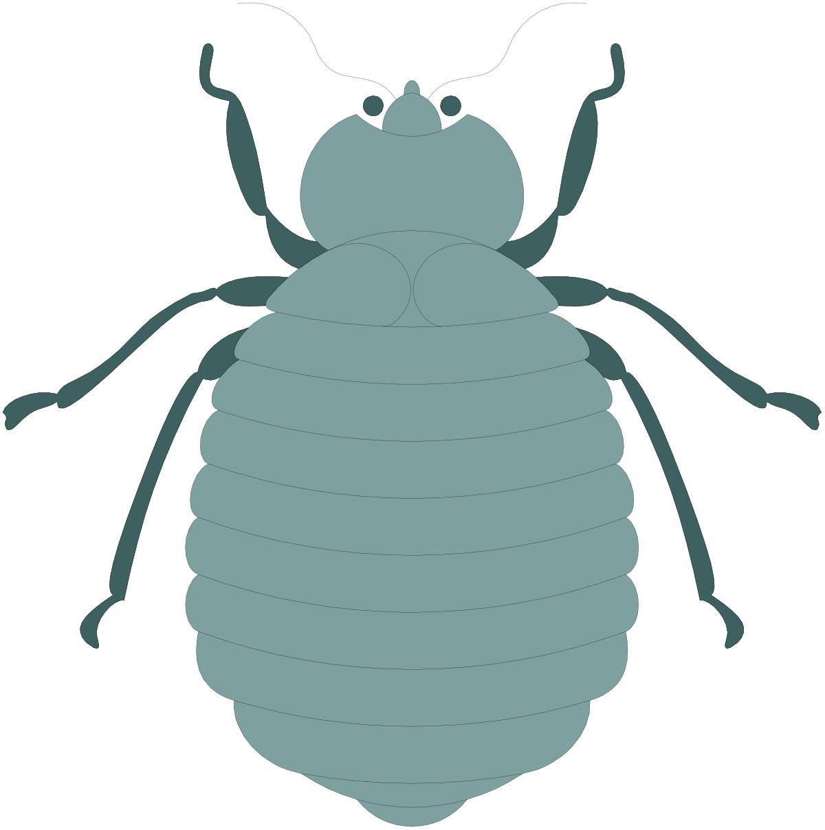 Bed Bug Clipart: Realistic Illustrations for Effective Pest Control