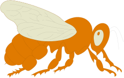 Bee Clipart: Charming White and Orange Body Illustration
