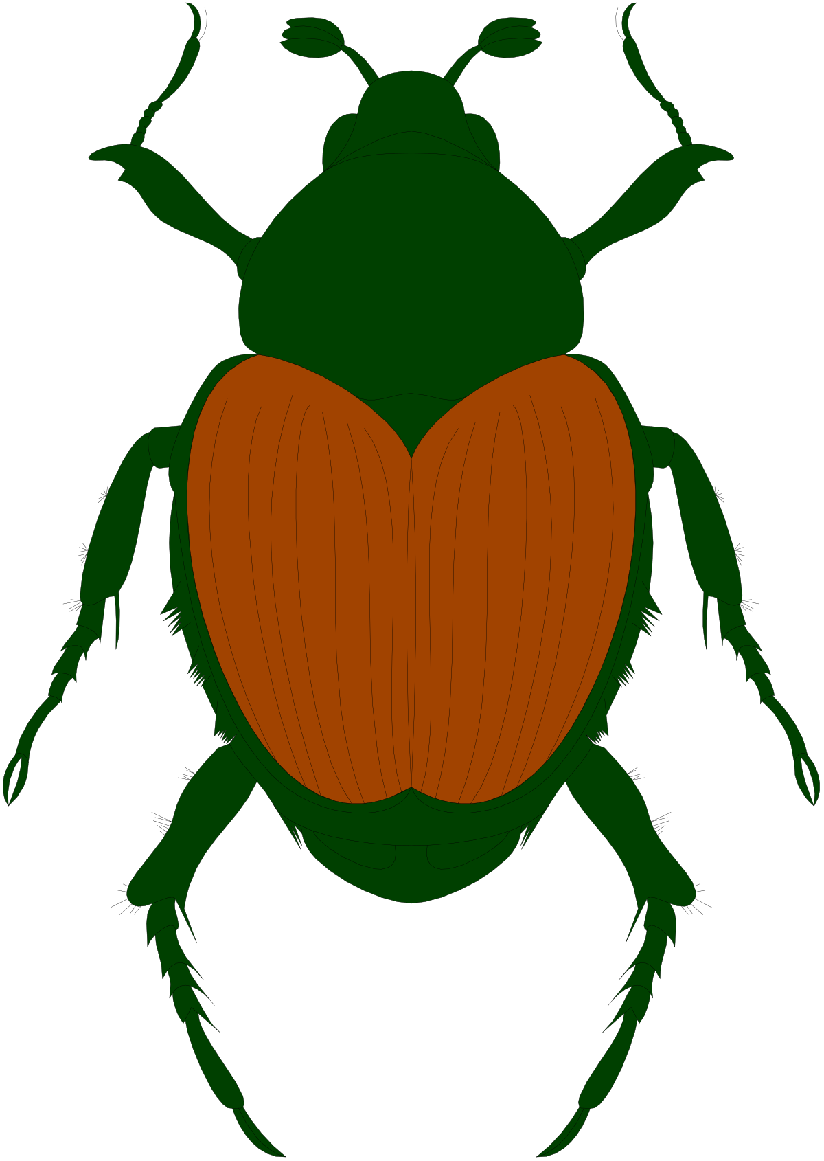 Green Beetle with Red Heart Clipart for Vibrant Designs