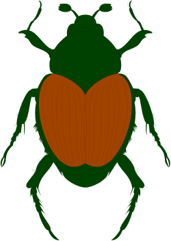 Green Beetle with Red Heart Clipart for Vibrant Designs