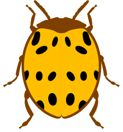 Ladybug Clipart with Black Spots - Ideal for Nature and Garden Themes