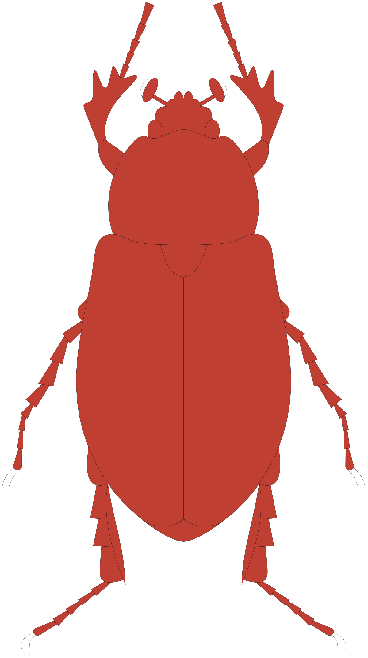 Red Beetle on Black Background - Vibrant Clipart for Nature Lovers