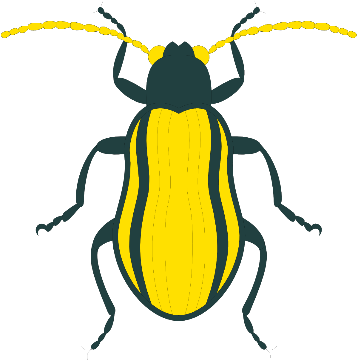 Beetle Clipart: Striking Yellow and Black Stripes for Creative Projects