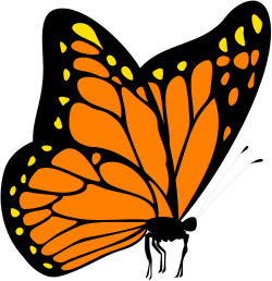 Orange Wings Butterfly Clipart - Vibrant Nature Illustration