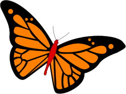 Orange Wings Butterfly Clipart - Vibrant and Elegant Design