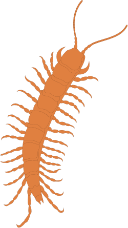 Cent Symbol Clipart: Unique and Versatile Designs for Every Project