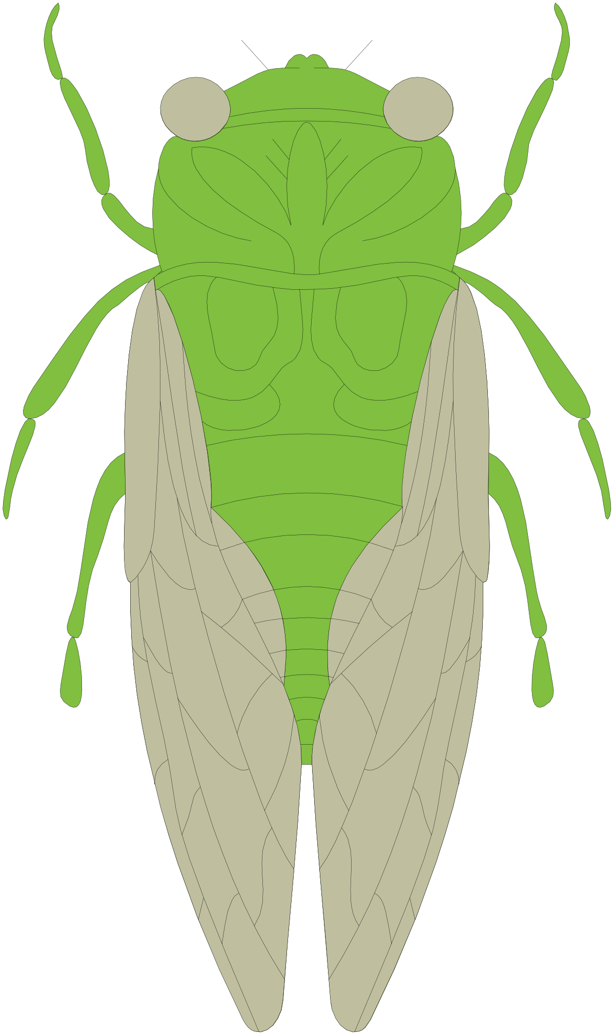 Green Bug with Two Wings Clipart - Vibrant Insect Illustration