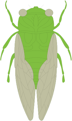 Animals,Insects,CS000411 clipart