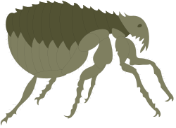 Long Body Bug with Long Legs Clipart