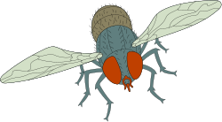 Fly Clipart: Stunning Black Body with Orange Legs for Creative Projects