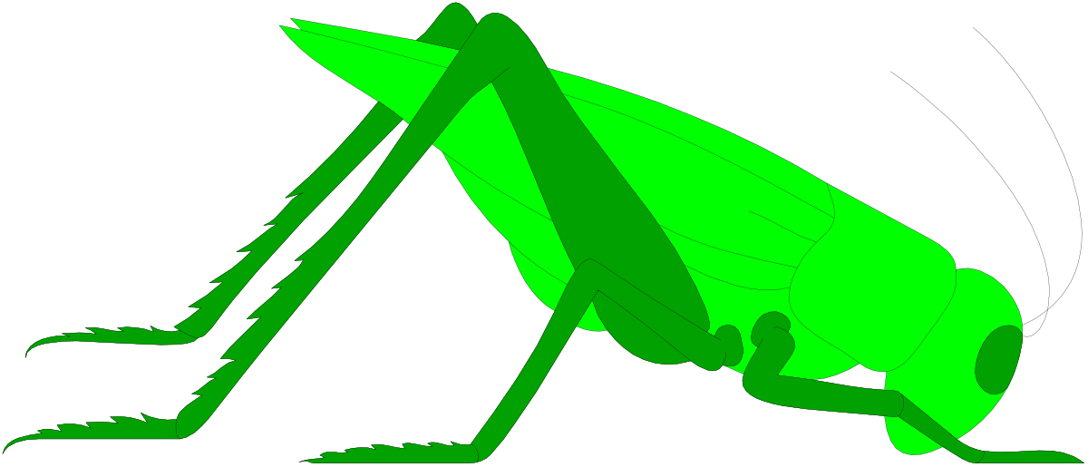 a green grasshopper clip art png transparent Green Grasshopper Clipart for Nature Lovers and Creatives