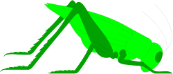 Green Grasshopper Clipart for Nature Lovers and Creatives