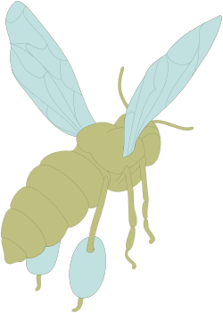 Bee Clipart with Long Yellow Body and Blue Wings