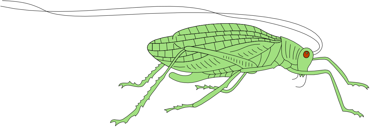 Green Beetle Clipart on Black Background - Stunning Insect Imagery