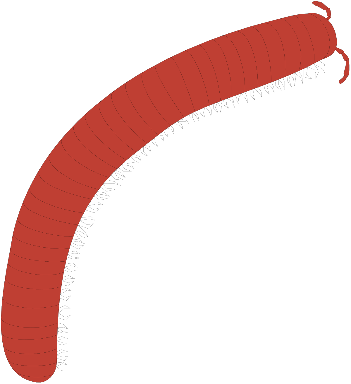 Worm Clipart Collection: Versatile SVG Illustrations for Your Projects
