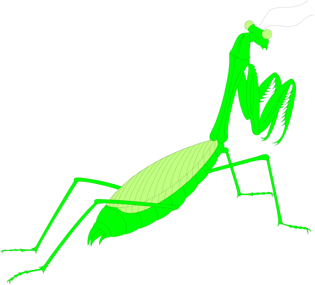 Green Praying Mantis Clipart: Nature's Intriguing Insect