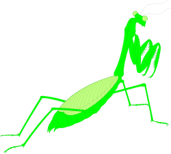 Green Praying Mantis Clipart: Nature's Intriguing Insect