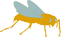 Long Yellow Bee Clipart: Vibrant Insect Graphics for Your Projects