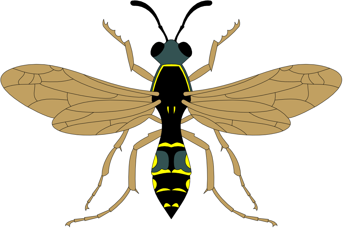 Insect Clipart: Vibrant Bug with Two Wings and Expressive Face