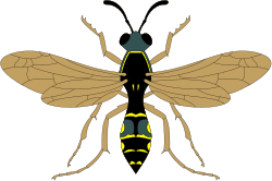 Insect Clipart: Vibrant Bug with Two Wings and Expressive Face