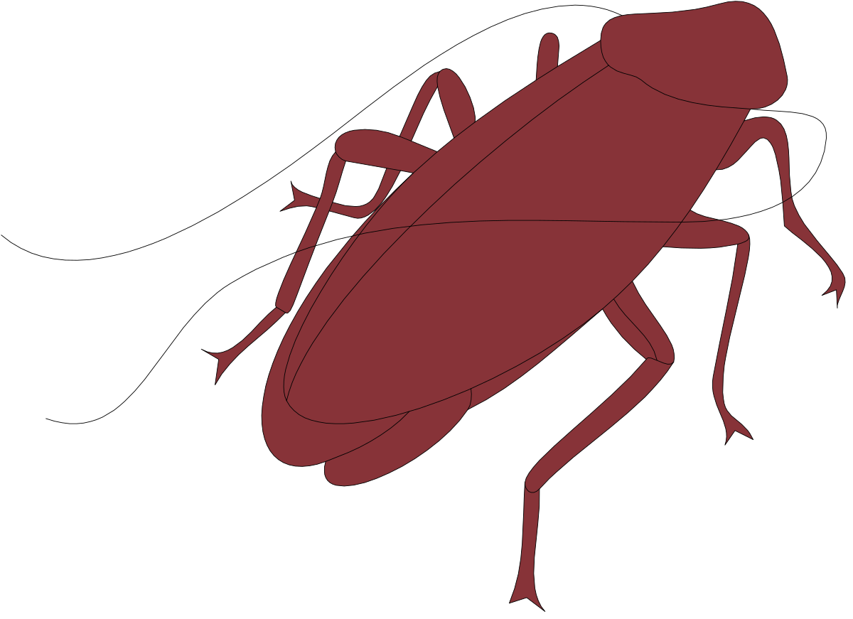 Red Beetle on Black Background - Vibrant Clipart Illustration