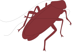 Red Beetle on Black Background - Vibrant Clipart Illustration