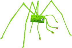 Green Spider on Black Background - Stunning Clipart