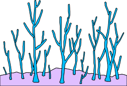 Blue Tree without Leaves Clipart - Unique and Striking Visuals