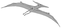Bird Flying in the Air - Dynamic Clipart for Nature Themes
