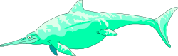 Green Dolphin Clipart on Black Background