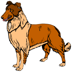 Brown and White Dog on Black Background Clipart