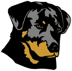Dog Clipart with Black Background and Yellow Nose