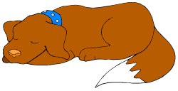 Brown Bear Sleeping on White Background - Relaxing Wildlife Clipart