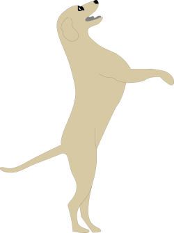 Standing Dog Looking Up - Expressive Clipart for Creative Projects
