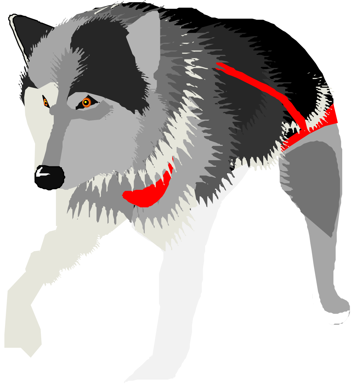 Wolf with Red Collar and White Fur Clipart