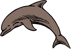 Dolphin Jumping in Air Clipart - Energetic Ocean Scene