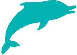 Dolphin Silhouette Against Black Background - Stunning Clipart