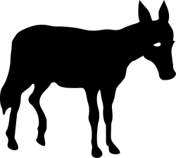 Black Background with White Circle Clipart - Minimalist Design