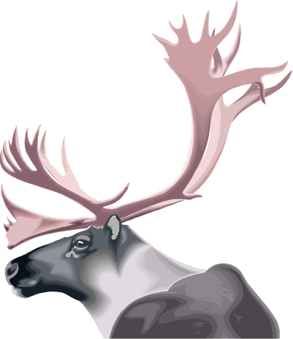 Moose with Ants Clipart: Playful Wildlife Illustration