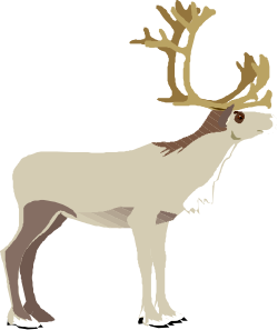 Reindeer with Ants on Head Clipart - Unique Holiday Illustration
