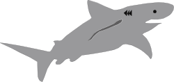 Shark with Big Mouth Clipart for Bold Visuals
