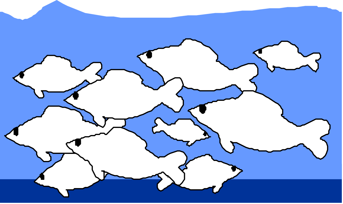 Vibrant Underwater Scene: Group of Fish Swimming in Ocean Clipart