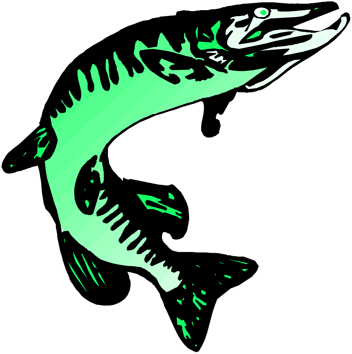 Green and Black Lizard on Black Background