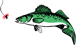 Fish with Red Spot - Vibrant Clipart for Engaging Designs
