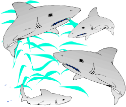 Sharks Group Facing Camera - Stunning Clipart for Your Projects