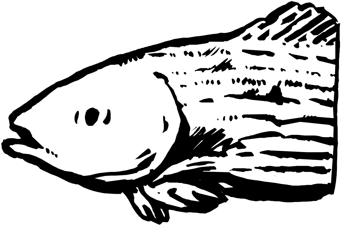 a fish with a black background clip art png transparent Fish Illustration on Black Background – Stunning Clipart Design