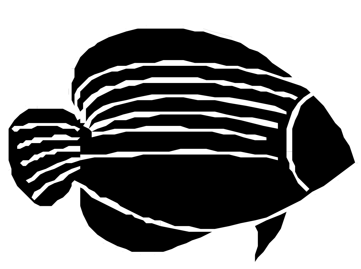 Fish Clipart with Black Background: Stunning and Versatile Visuals
